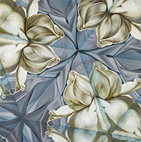 Kaleidoscope Gardenias