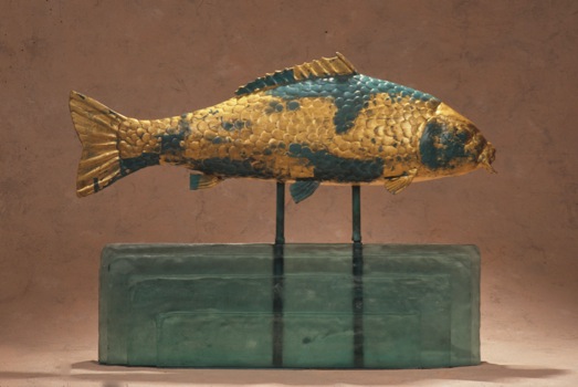 Carp Icon